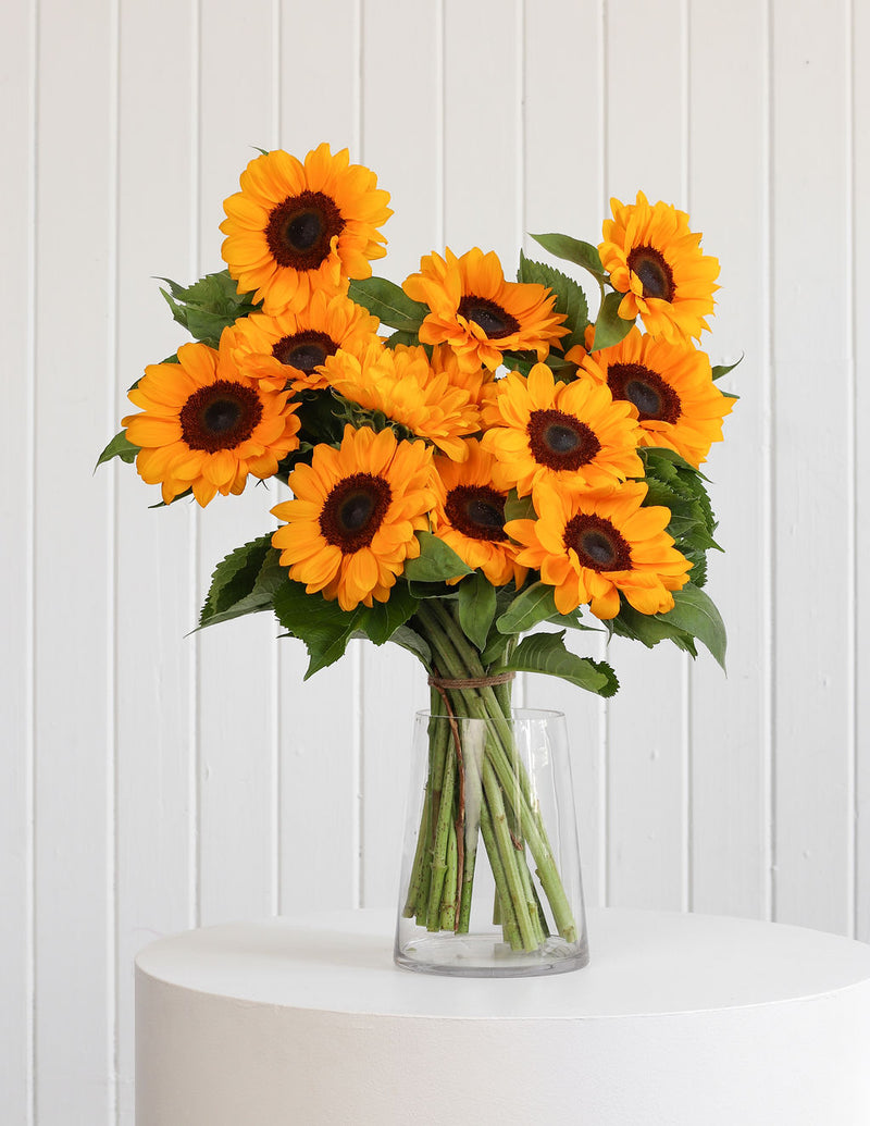 The "Sunflowers"