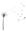 The Wild Flower logo