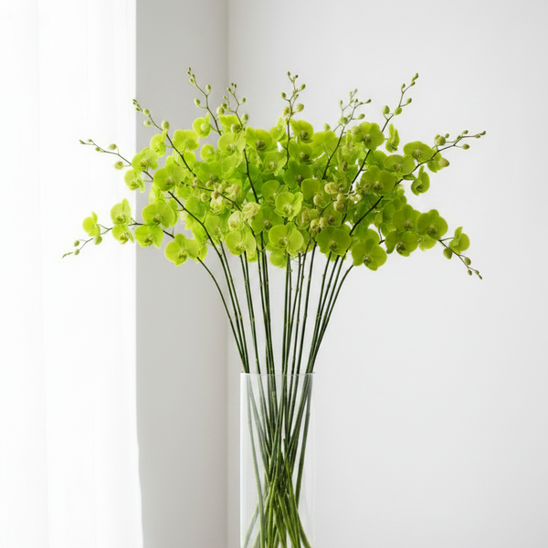 Green orchid stems in a clear glass vase, Today's Special at The Wild Flower