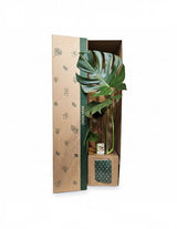 The Wild flower Monstera Deliciosa plant with fenestrated leaves in a branded gift box with a card and white pot.