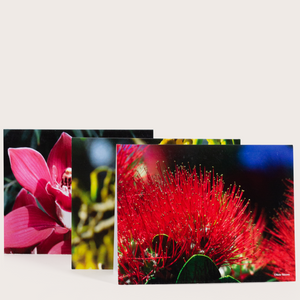Specialty Gift Cards